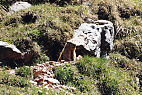 Juli 2003